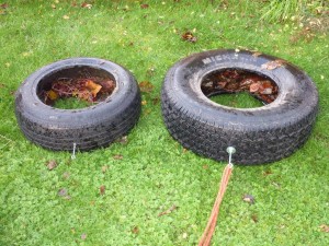 The Big Tyre