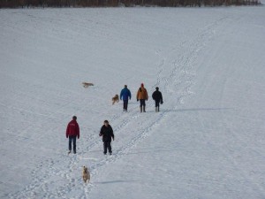 Family Walk on Boxing Day 2010