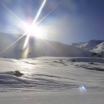 Arctic Sunshine