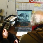 Checking weather and team progress