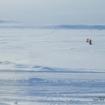Team Polar Slug marches on
