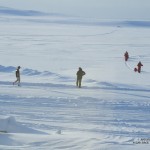 The Welcoming Party