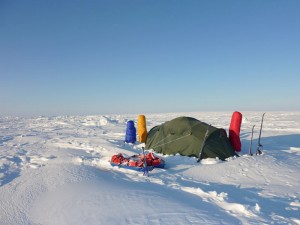 The Polar Slugs Camp