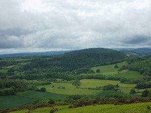 Views on the Housman Hundred